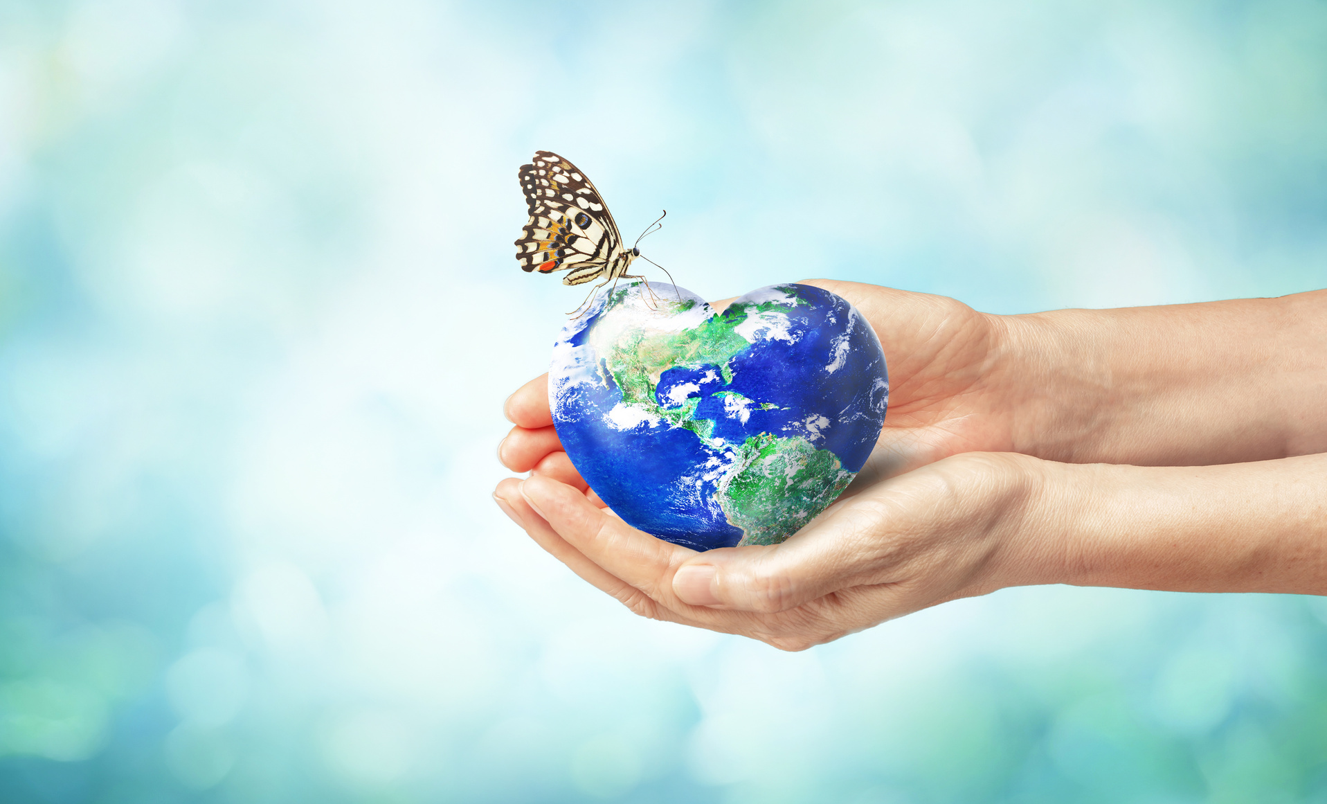 Together we can safe the world and offer the better world for our children and Earth day concept, Butterfly and love heart shaped earth on hands